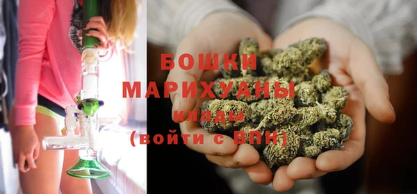 шишки Алзамай