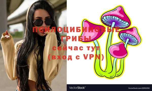 шишки Алзамай