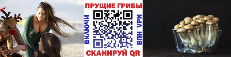 Галлюциногенные грибы Cubensis  закладки  Фатеж 